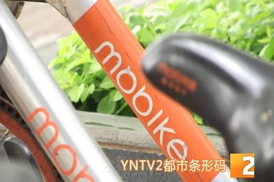 昆明共享單車管理升級 違停摩拜將罰款，ofo小黃車批量封存